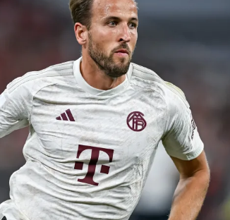 无论选择支 无论选择支