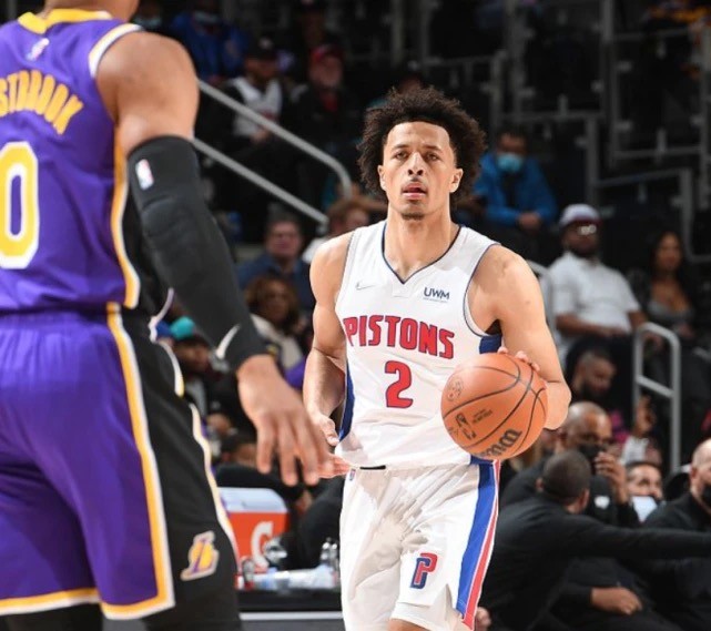 专业的心理 专业的心理