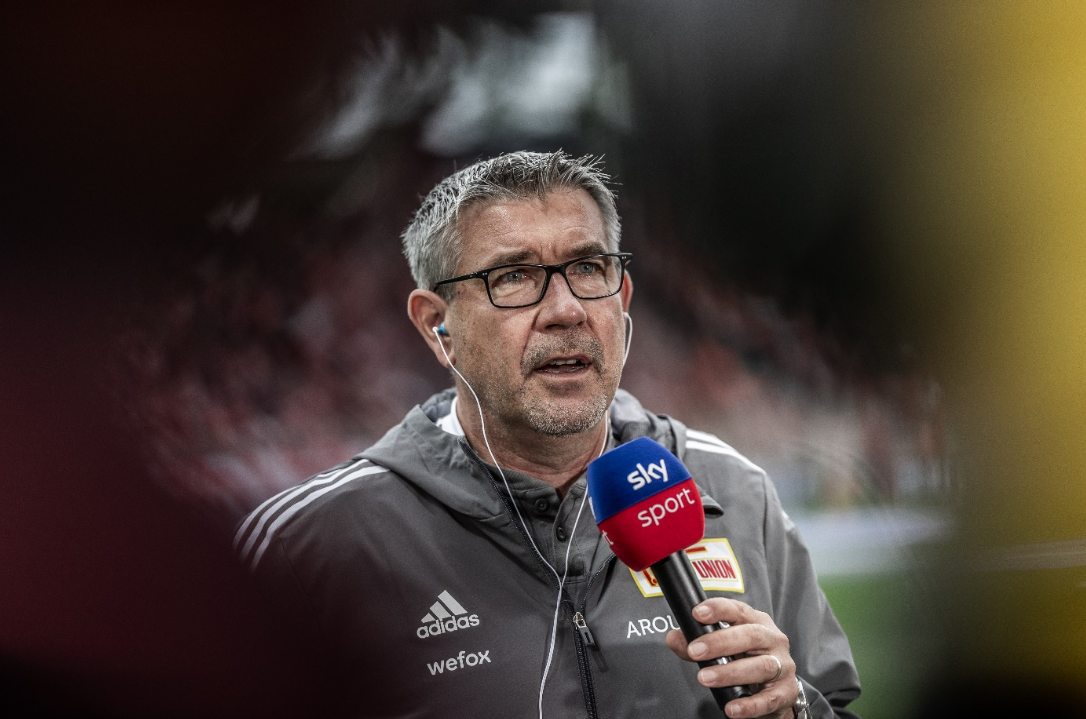 这一壮观的 这一壮观的