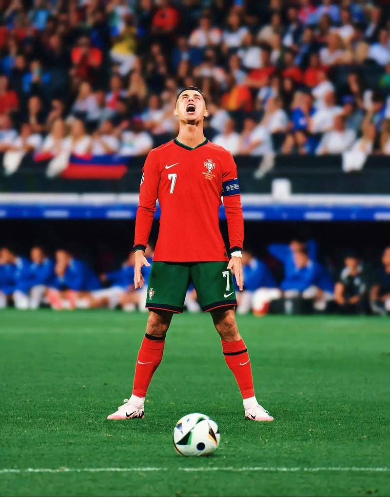 萨勒尼塔纳 萨勒尼塔纳