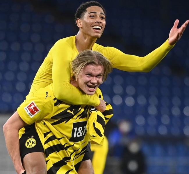 能够形成新 能够形成新