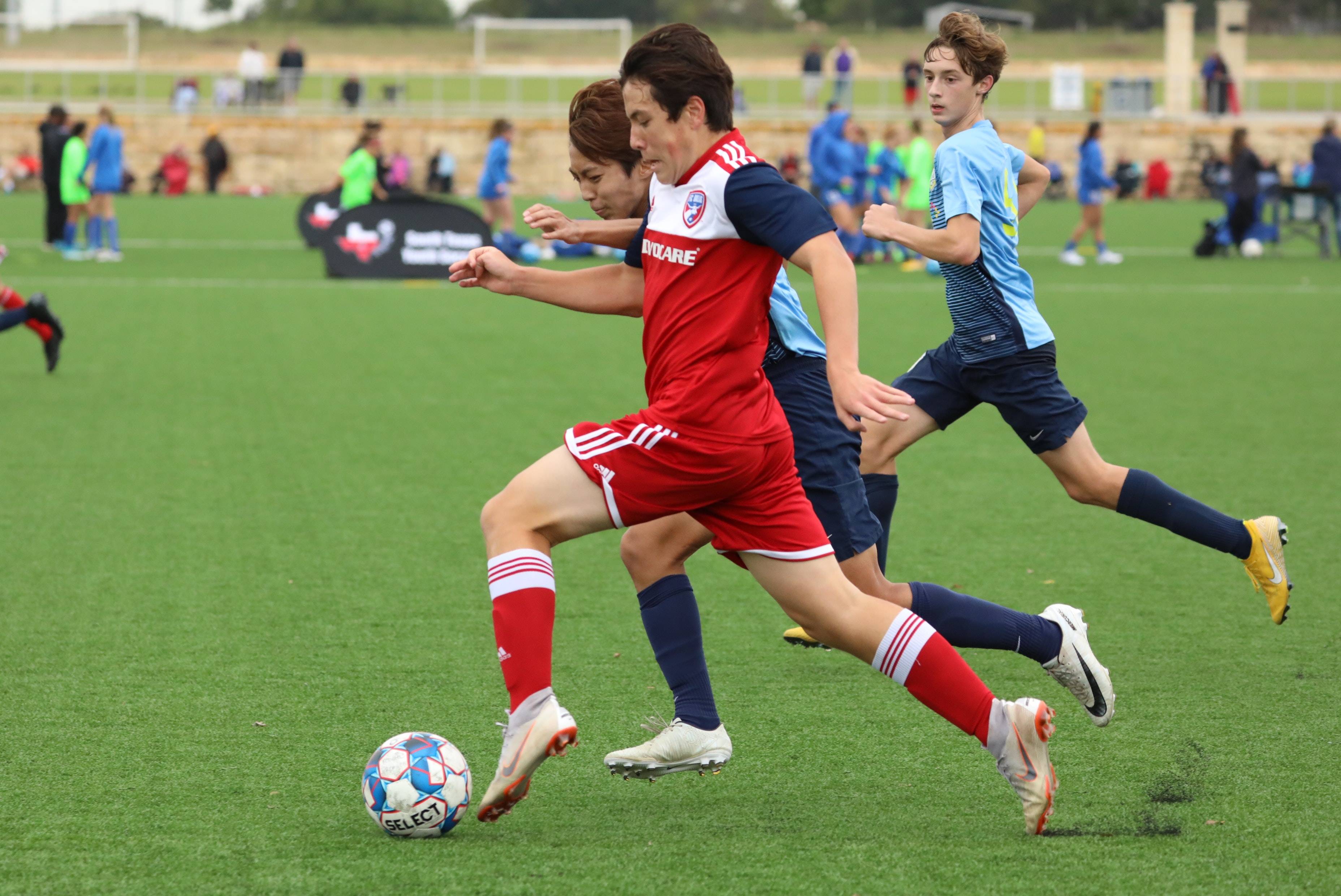 微调策略 微调策略